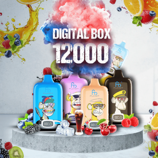 RandM Digital Box 12000 Puffs Lagerhaus LED Display Einweg Vape-perfectvape