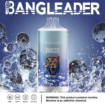 perfectvape-bang-leader-20000-20k-puffs-blueberry-ice-.jpg