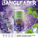 perfectvape-bang-leader-20000-20k-puffs-blueberry-mint-.jpg