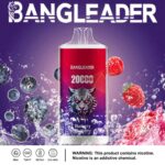 perfectvape-bang-leader-20000-20k-puffs-blueberry-raspberry-.jpg