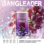 perfectvape-bang-leader-20000-20k-puffs-grape-ice-.jpg