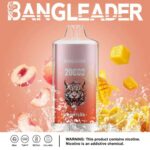 perfectvape-bang-leader-20000-20k-puffs-mango-peach-.jpg