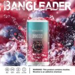 perfectvape-bang-leader-20000-20k-puffs-mix-fruit-.jpg