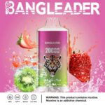 perfectvape-bang-leader-20000-20k-puffs-strawberry-kiwi-.jpg