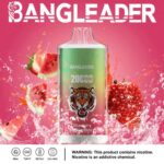 perfectvape-bang-leader-20000-20k-puffs-strawberry-watermelon.jpg
