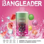 perfectvape-bang-leader-20000-20k-puffs-watermelon-bubble-gum-.jpg