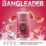 perfectvape-bang-leader-20000-20k-puffs-watermelon-ice-.jpg