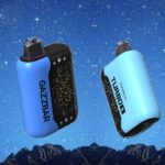 Gazzbar Gypsophila 30000 30K Puffs LED Display Einweg Vape-perfectvape
