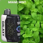perfectvape-galaxy-30000-gypsophila-30000-puffs-miami-mint.jpg