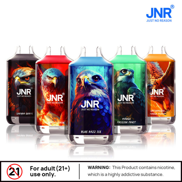 JNR FALON 16000 16K Puffs DTL 2% Nicotine Disposable Vape-perfectvape