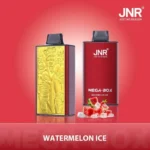 perfectvape-jnr-mega-box-25000-puffs-watermelon-ice.webp