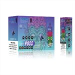 perfectvape-vopk-tornado-9000-puffs-blueberry-ice.jpg