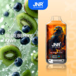 perfectvape-jnr-falon-x-18000-puffs-blueberry-kiwi.jpg