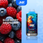 perfectvape-jnr-falon-x-18000-puffs-sleek-vape-jnr-falon-x-18000-puffs-blueberry-raspberry.jpg